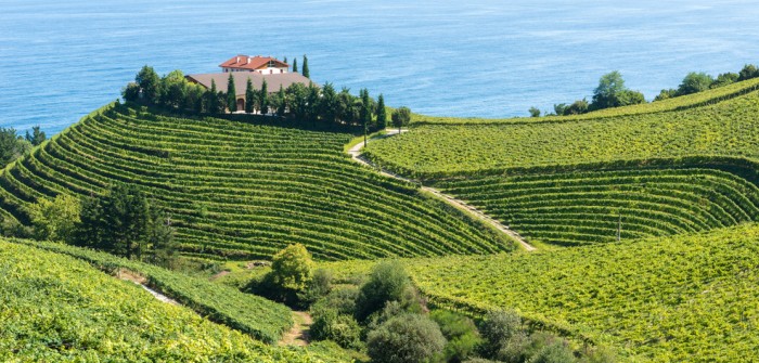 Spanische Weine aus der Urlaubsregion Alicante