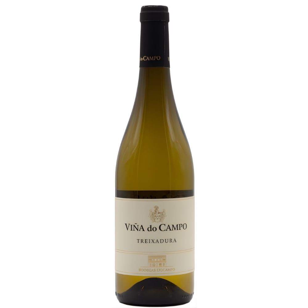 Treixadura Vina do Campo Ribeiro 2024