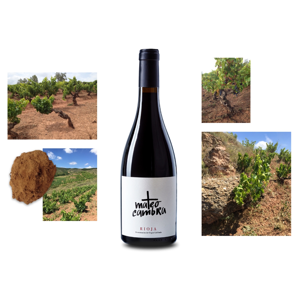 4449A_0001 4449A Rotwein Mateo Cambra Garnacha Rioja