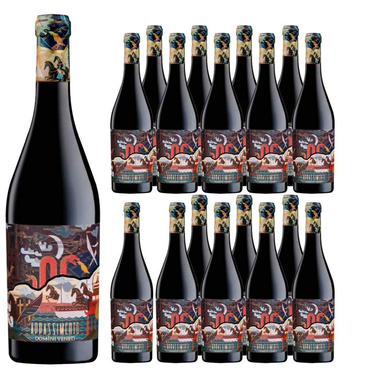 462520_APPASSIMENTO_18ER_0001 Appassimento Rotwein vom Weingut Domini Veneti im 18er Sparpaket mit buntem Etikett