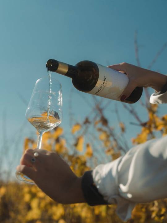 Javier Sanz Verdejo und Sauvignon Blanc aus Rueda online kaufen