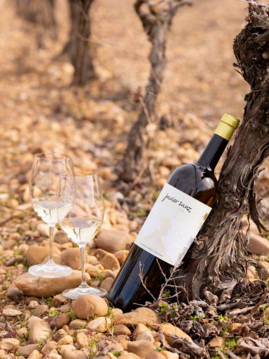 Wein von Bodegas Javier Sanz in der spanischen Weinregion Rueda