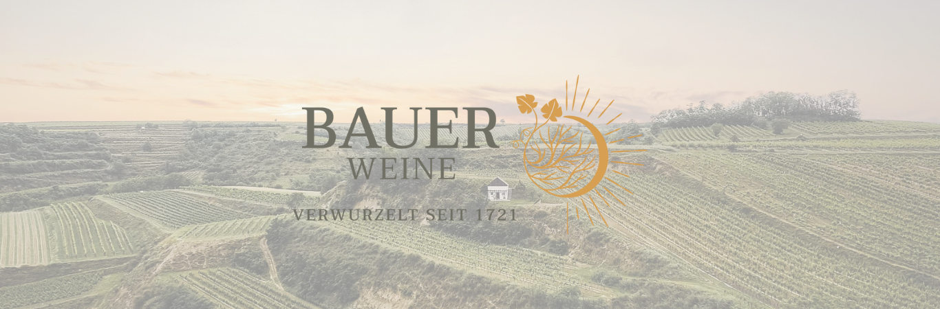 Weingut Norbert Bauer - Weinviertel