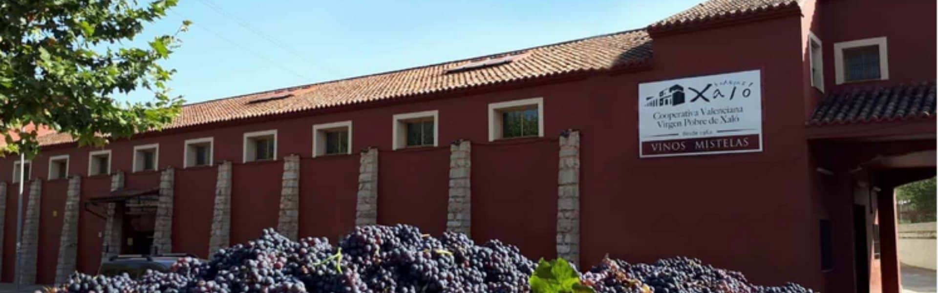 Weingut Bodega Xalo Jalon nahe Denia - Costa Blanca - Alicante Spanien