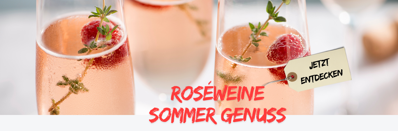 Sommer mit Rose Banner Onlineshop