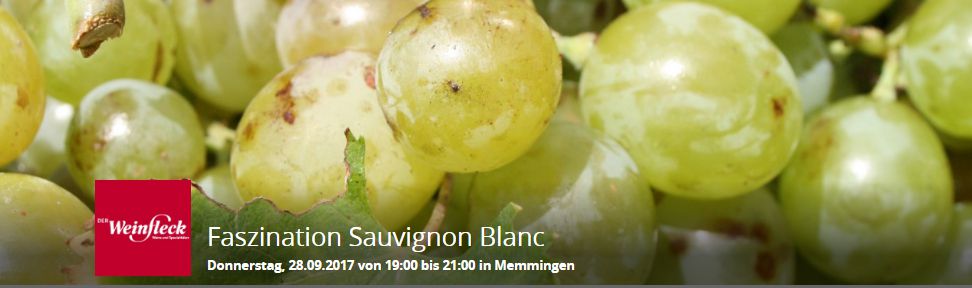Faszination-Sauvignon-Blanc-Sept-2017